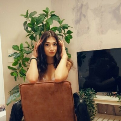 Melysatrans_Dominapa