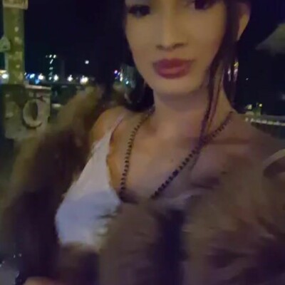Melysatrans_Dominapa