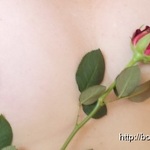 Lisa Anal Wien