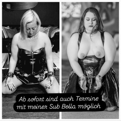 Sub Viola
