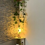 Asia-Studio