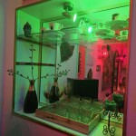Privat-Luxus-Studio-Sonjasteirischesünde