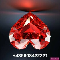 Vienna Exclusive Escort