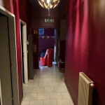 Studio Senjoritas
