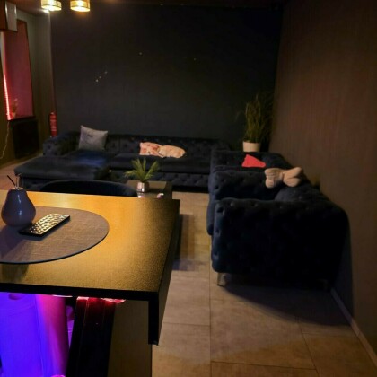 Paradies Studio