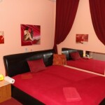 Bécsi studio keres
