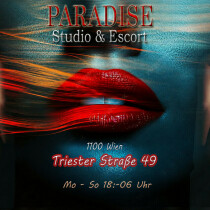 MODELS GESUCHT