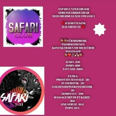 Safaristudio