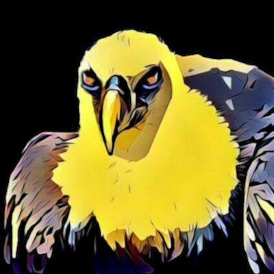 Condor