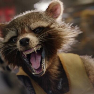 Rocket-Racoon