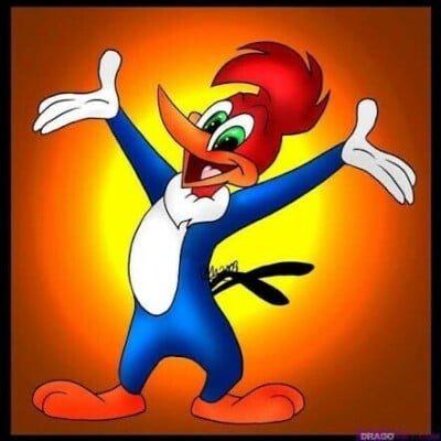 Woody-50