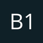 Bernhard-16