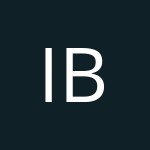 IBK313