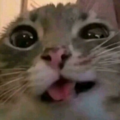 iLoveSluts